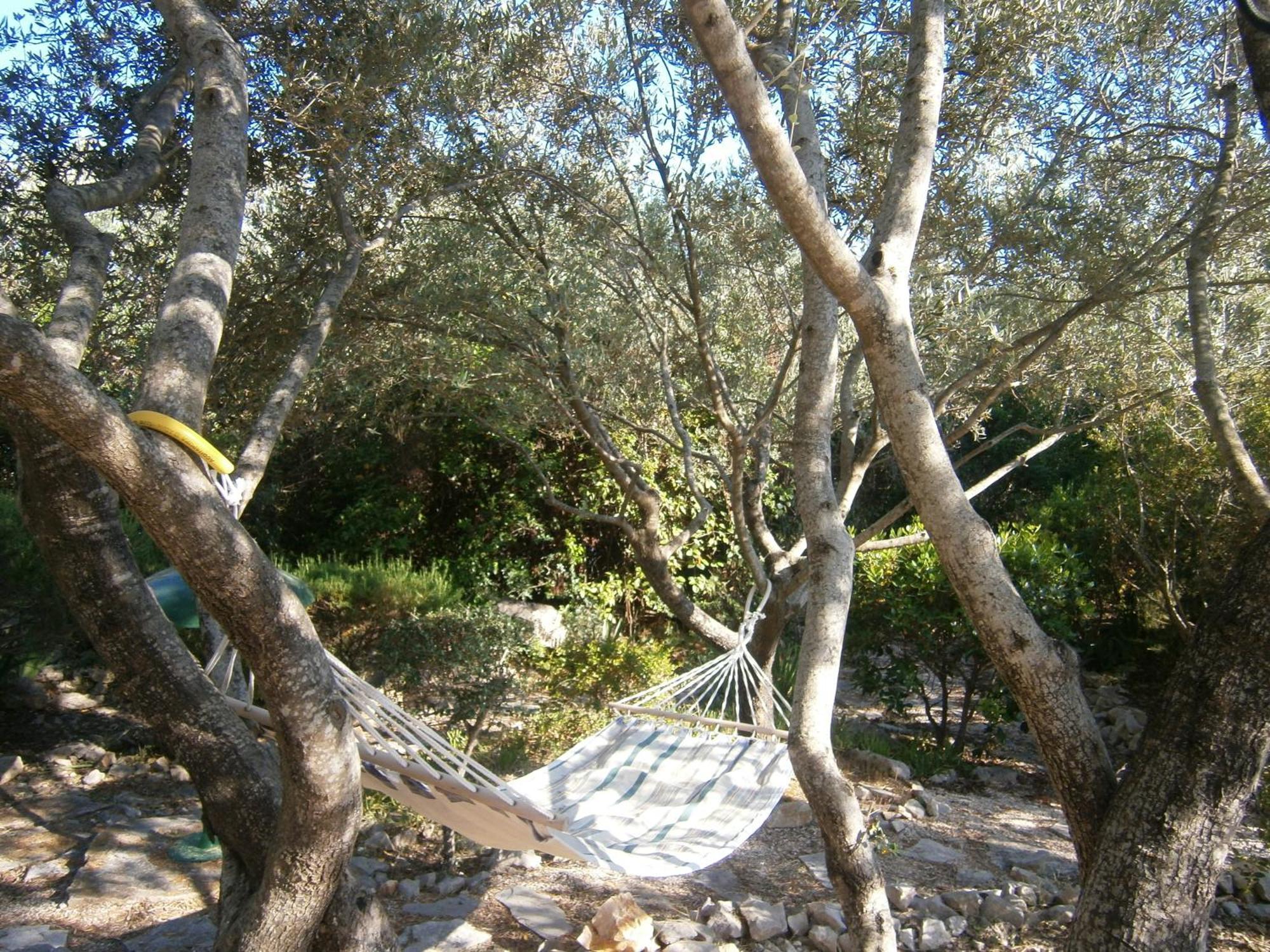 Apartments Grbin (Adults Only) Lumbarda Quarto foto